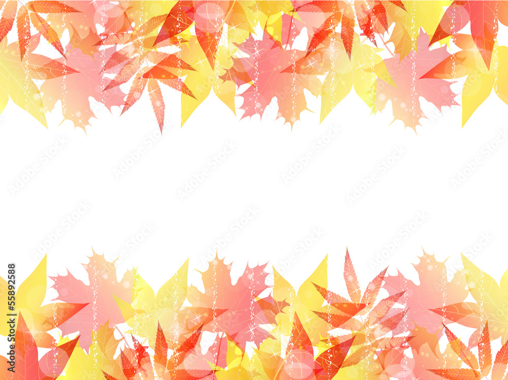 Fototapeta premium もみじ 紅葉 背景