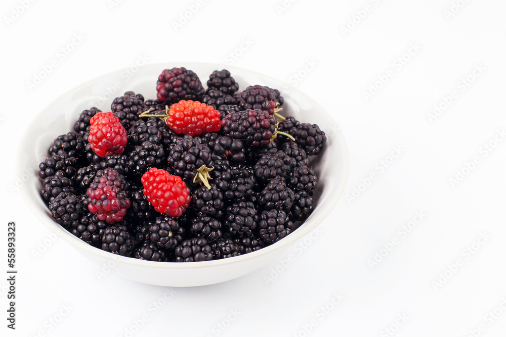 Fresh Blackberry In White Bowl Isolated On White Background Fresh Blackberry In White Bowl Isolated On White Background