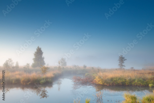 morning sunshine over misty swamp