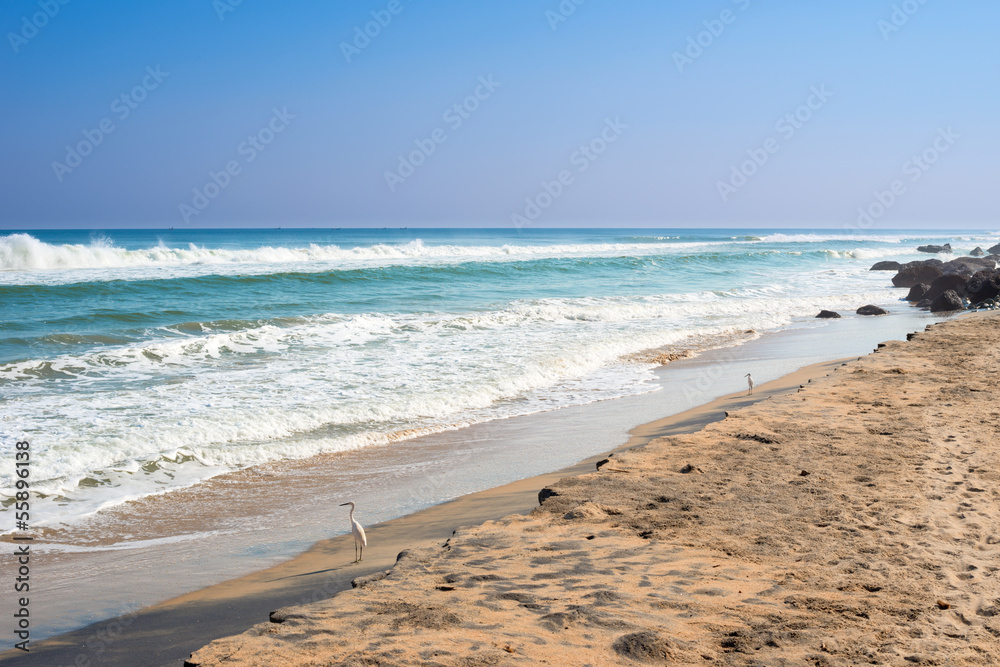 Beautiful view of tropical beach on the coast Varkala, Kerala. Beautiful view of tropical beach on the coast Varkala, Kerala.