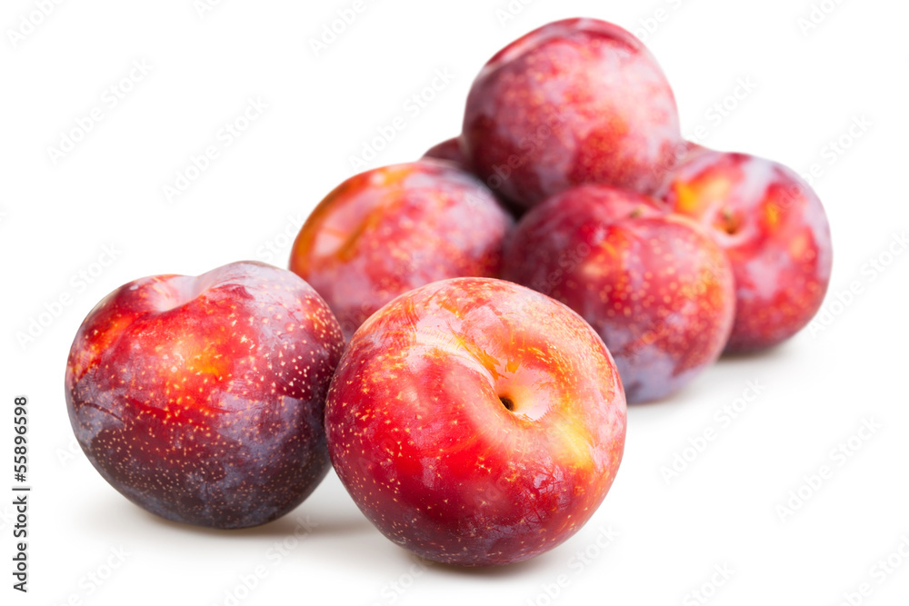 plum red group