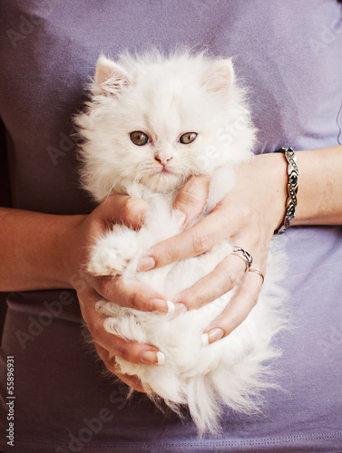 Girl holding white kitten