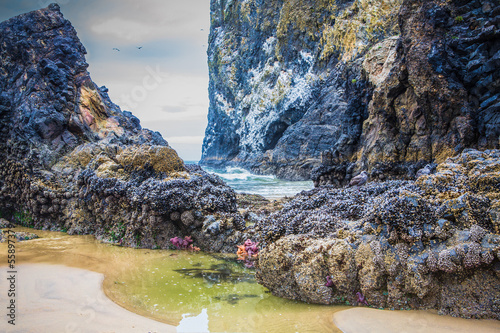 Fotografija Oregon Coast at Cannon Beach