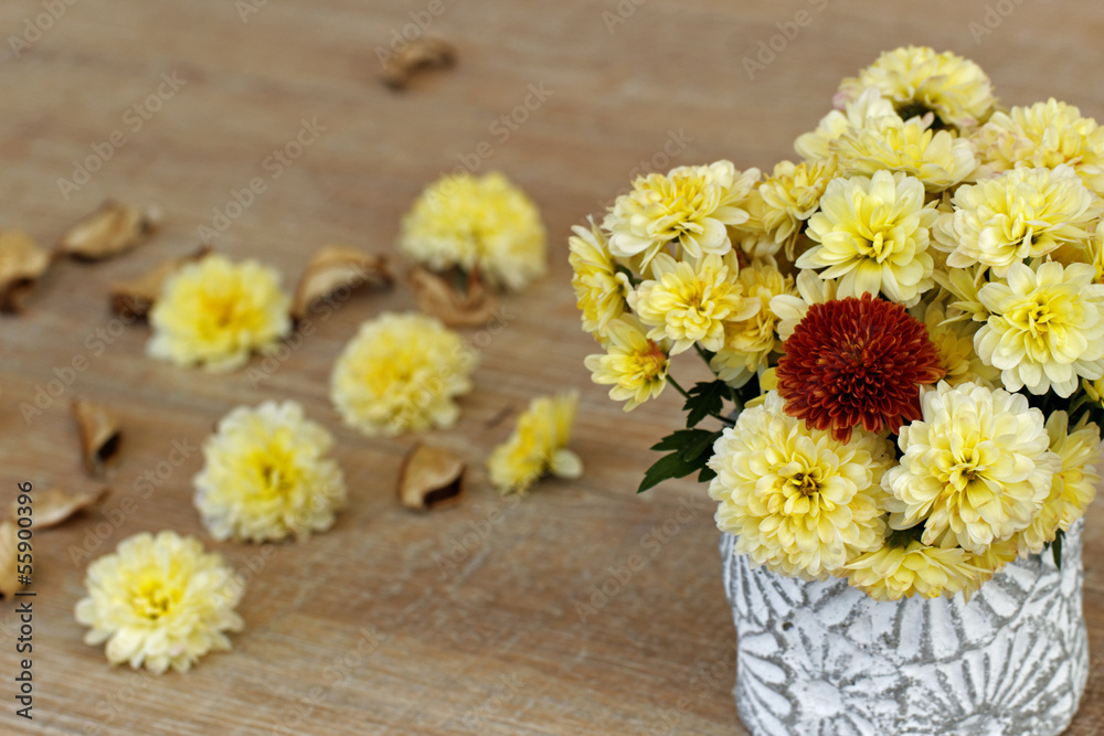 Chrysanthmen Chrysanthmen