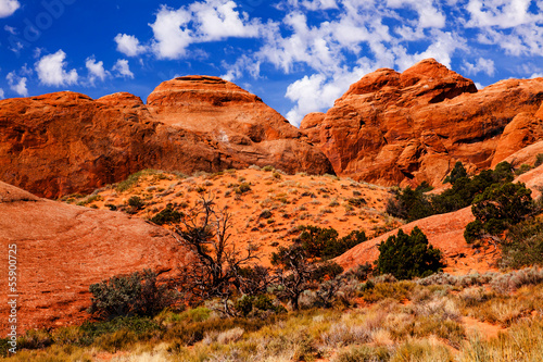 Rock Canyon Devils Garden Arches National Park Moab Utah