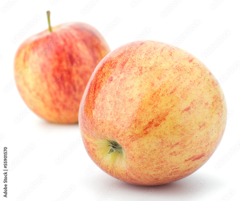 juicy apples isolated on white background juicy apples isolated on white background