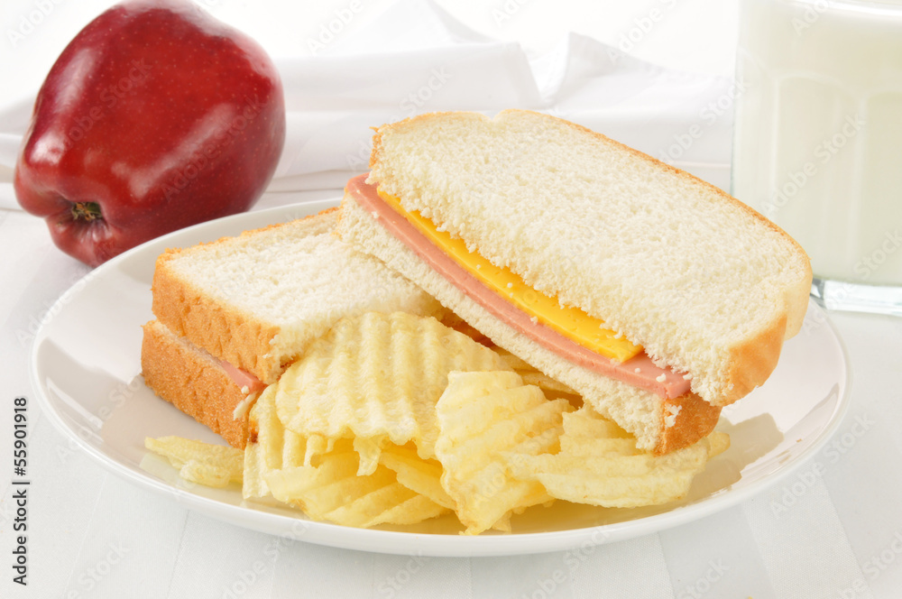 Bologna sandwich with an apple and milk Bologna sandwich with an apple and milk