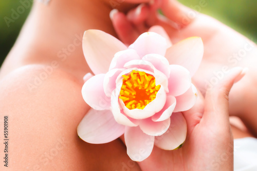 water lily in flower in hands