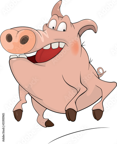Pig. Cartoon