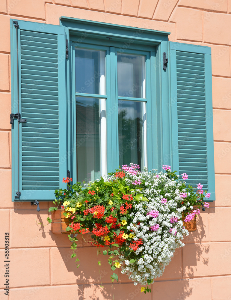 Window with a sun blind and flowers