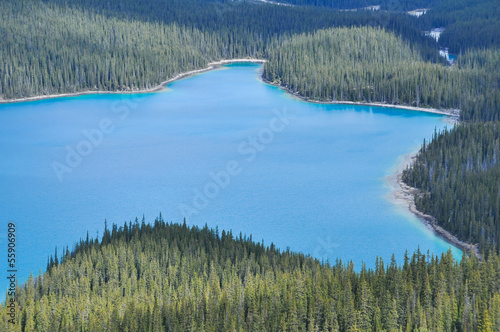Peyto lake  Rocky Mountains  Canada
