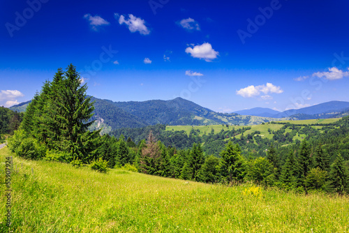 mountain view from green meadow in summer