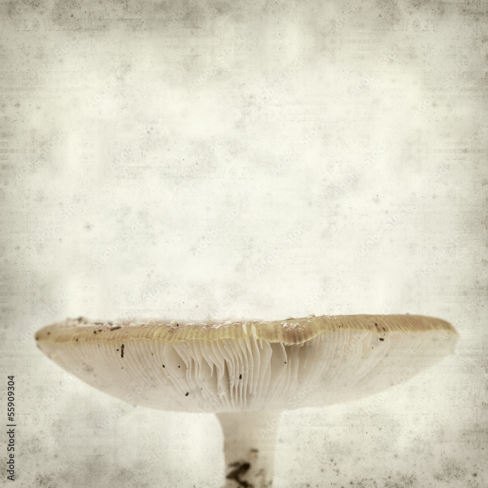 textured old paper background textured old paper background