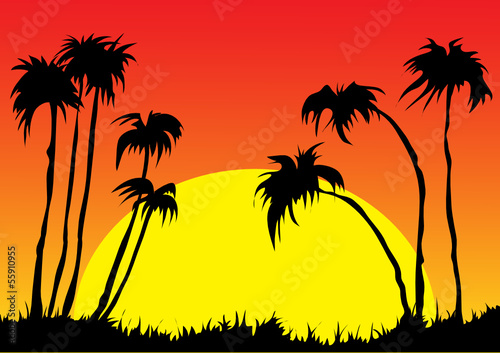 Sunset and palm trees