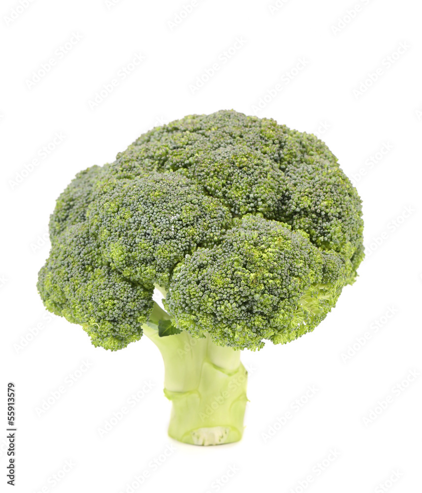 Fresh broccoli.