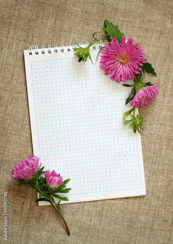 Notepad and asters