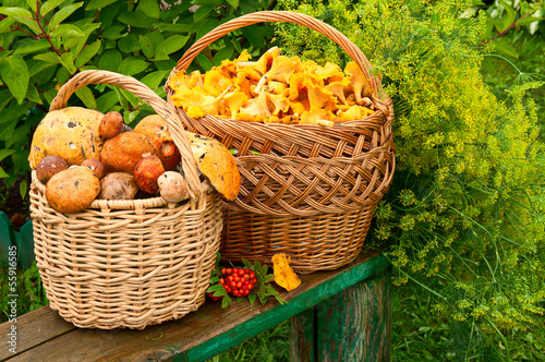 two baskets with chanterelles and boletus edulis on the bench