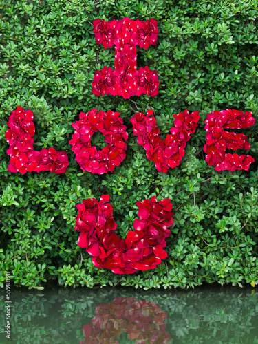 Word of love made from red rose petals on green leaf