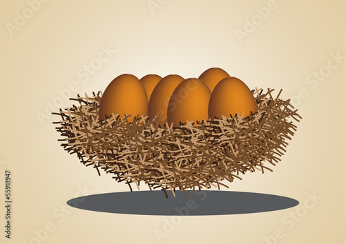 eggs in birdnest