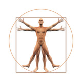 Menschliche Anatomie abgebildet wie vitruvian man - Freisteller