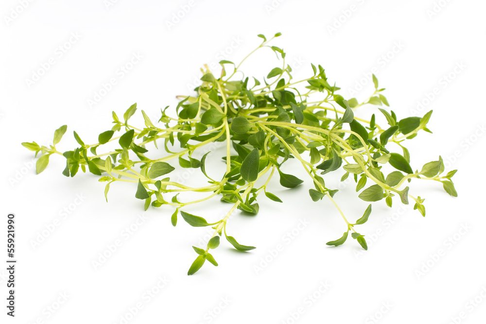 Thyme. Thyme.