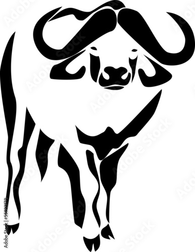 african water buffalo