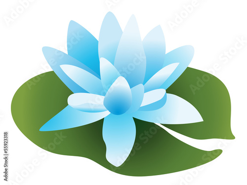 lotus bleu
