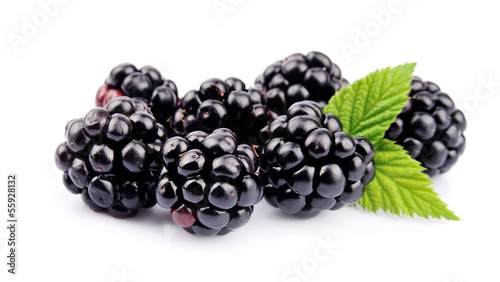 Photos Blackberry fruit
