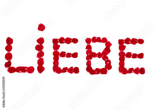 Liebe mit Rosenblättern