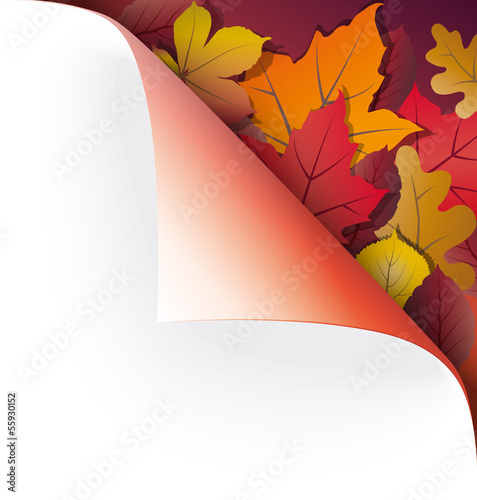 Papier-Ecke Herbst mit Herbstlaub