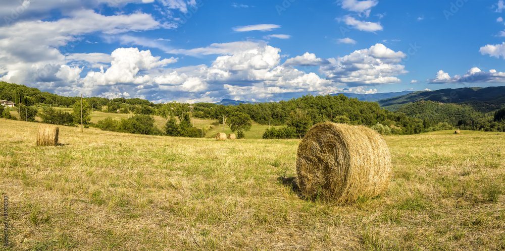 Bales of hay in Tuscany (Italy)