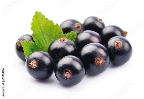 Black currant with leafs