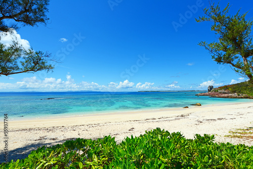 伊是名島の美しい珊瑚の海と夏空 © sunabesyou
