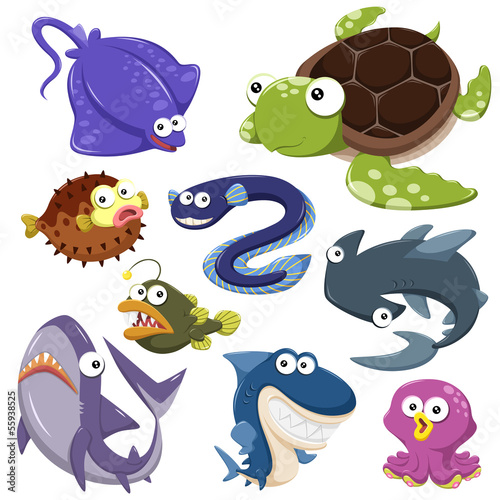 cartoon sea animal illusration collection