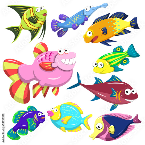 cartoon sea animal illusration collection