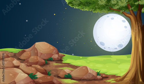 A rocky forest under the bright fullmoon