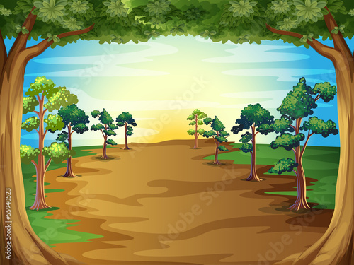 Growing trees at the forest