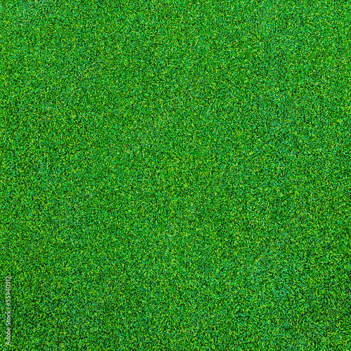 Green grass texture for background