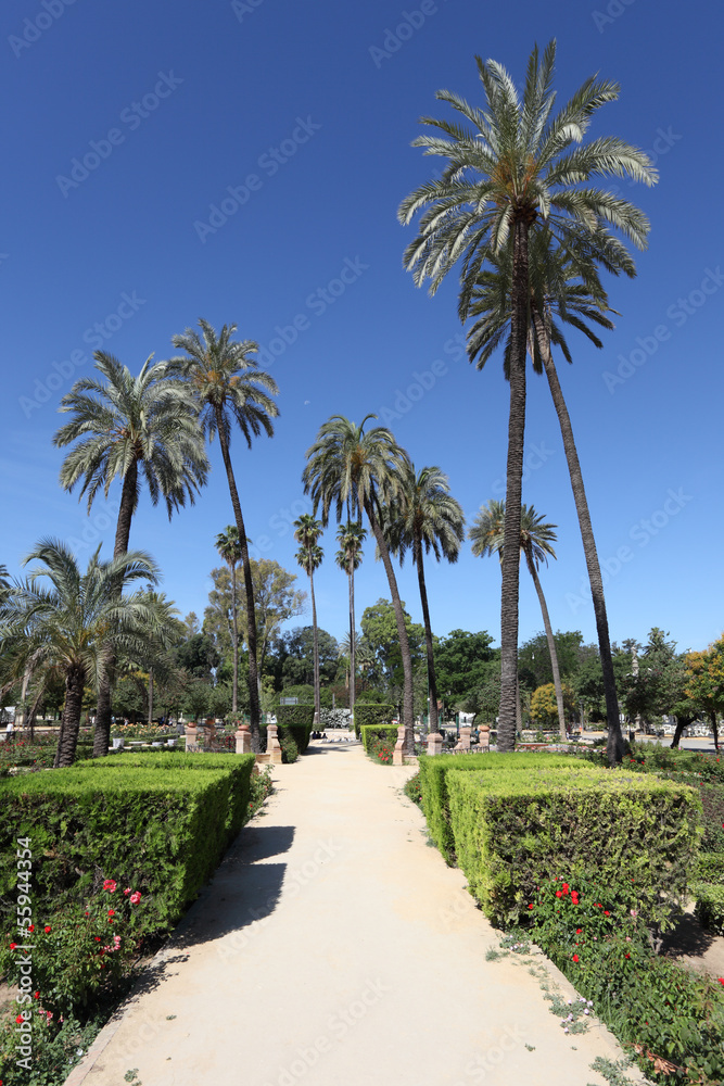 Maria Luisa Park in Seville, Spain