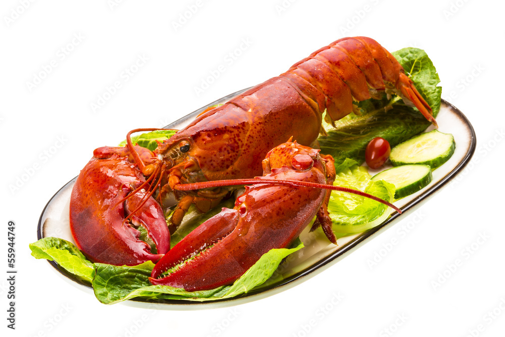 Large Lobster