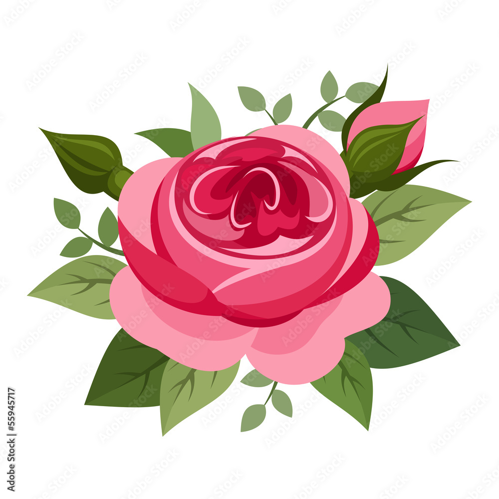 Red rose. Vector illustration. Red rose. Vector illustration.
