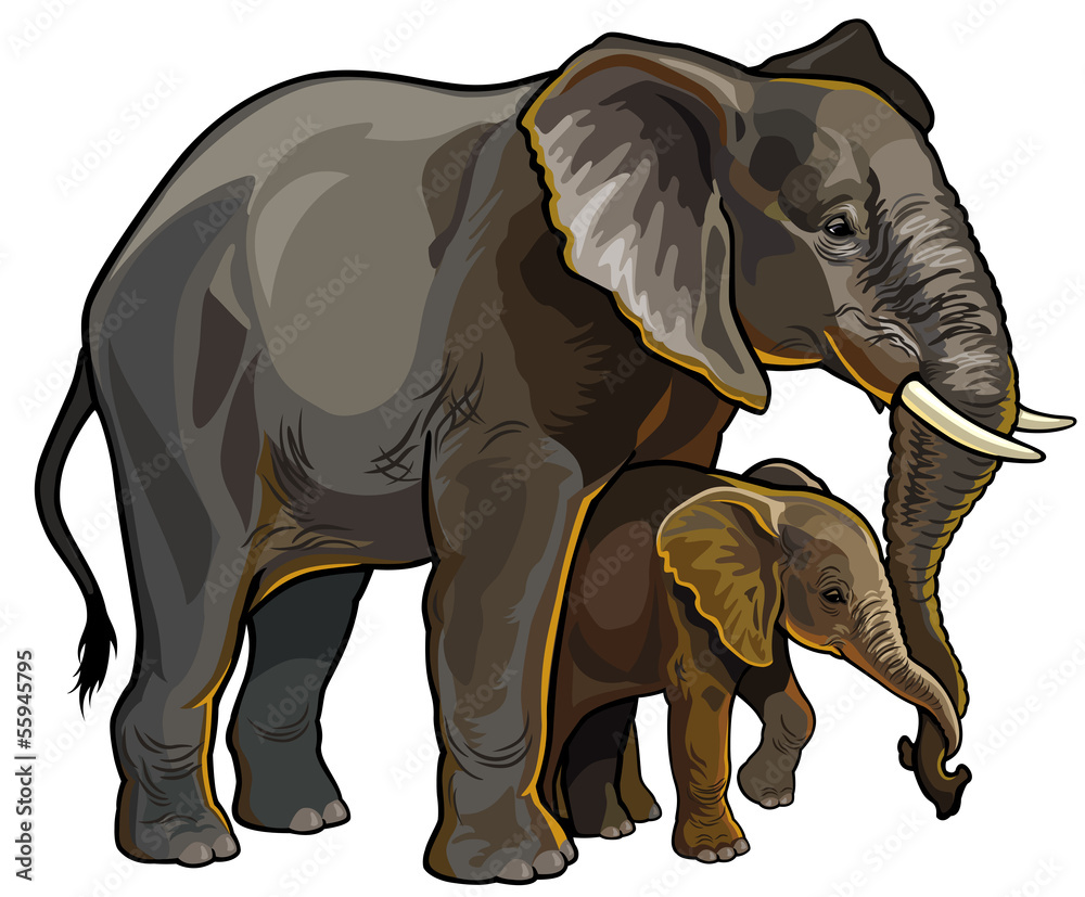 Naklejka premium african elephant with baby