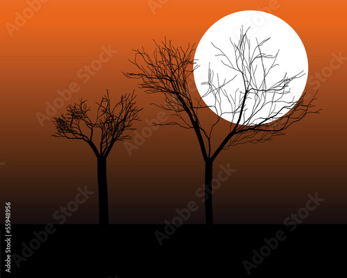 silhouettes of trees