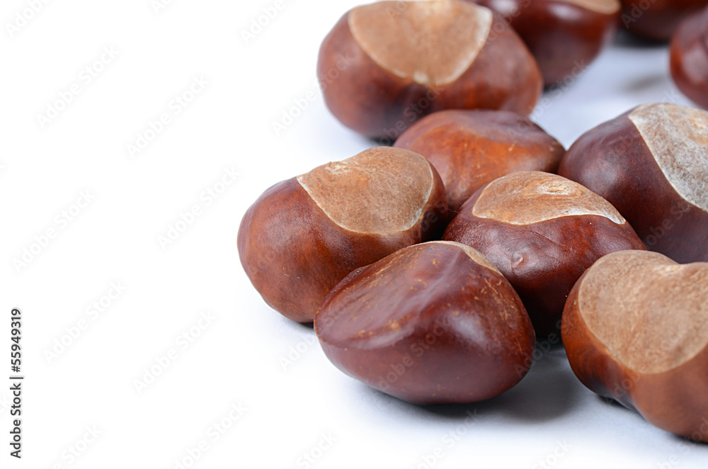 Chestnuts isolated on white background Chestnuts isolated on white background