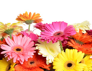 Handdoek met foto Gerbera Boeket gerbera's in pastelkleuren  © Vladimir Voronin