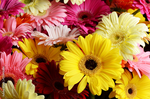 Bouquet gerbera flower