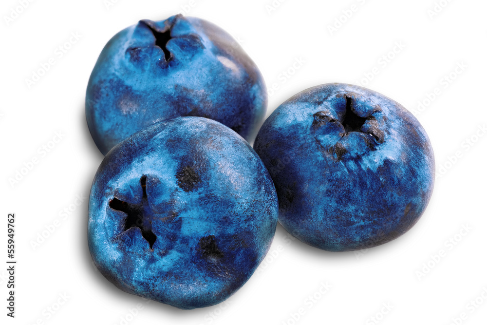 Obraz premium Three fresh blueberry isolated on white background