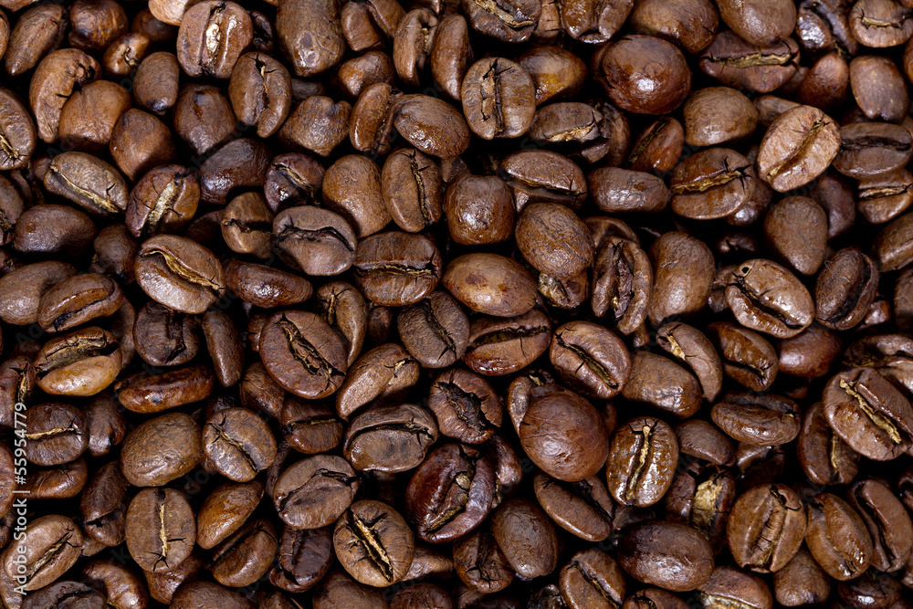 Obraz premium roasted coffee beans, can be used as a background