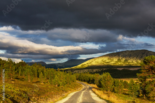 Fototapeta Naklejka Na Ścianę i Meble -  Road in Norway