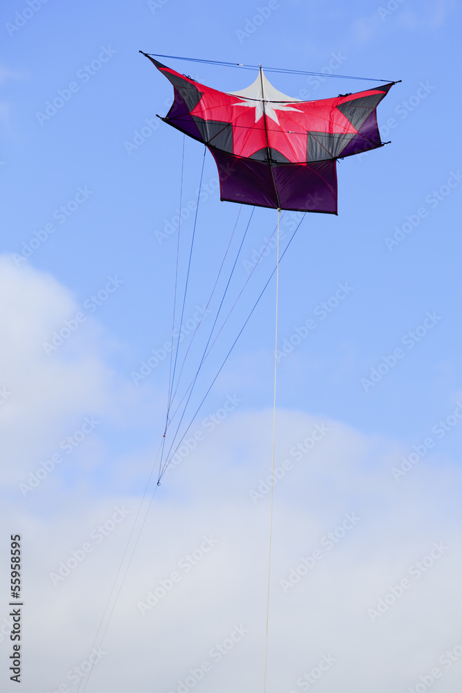 Obraz premium Japanese Sode Dako kite flying high